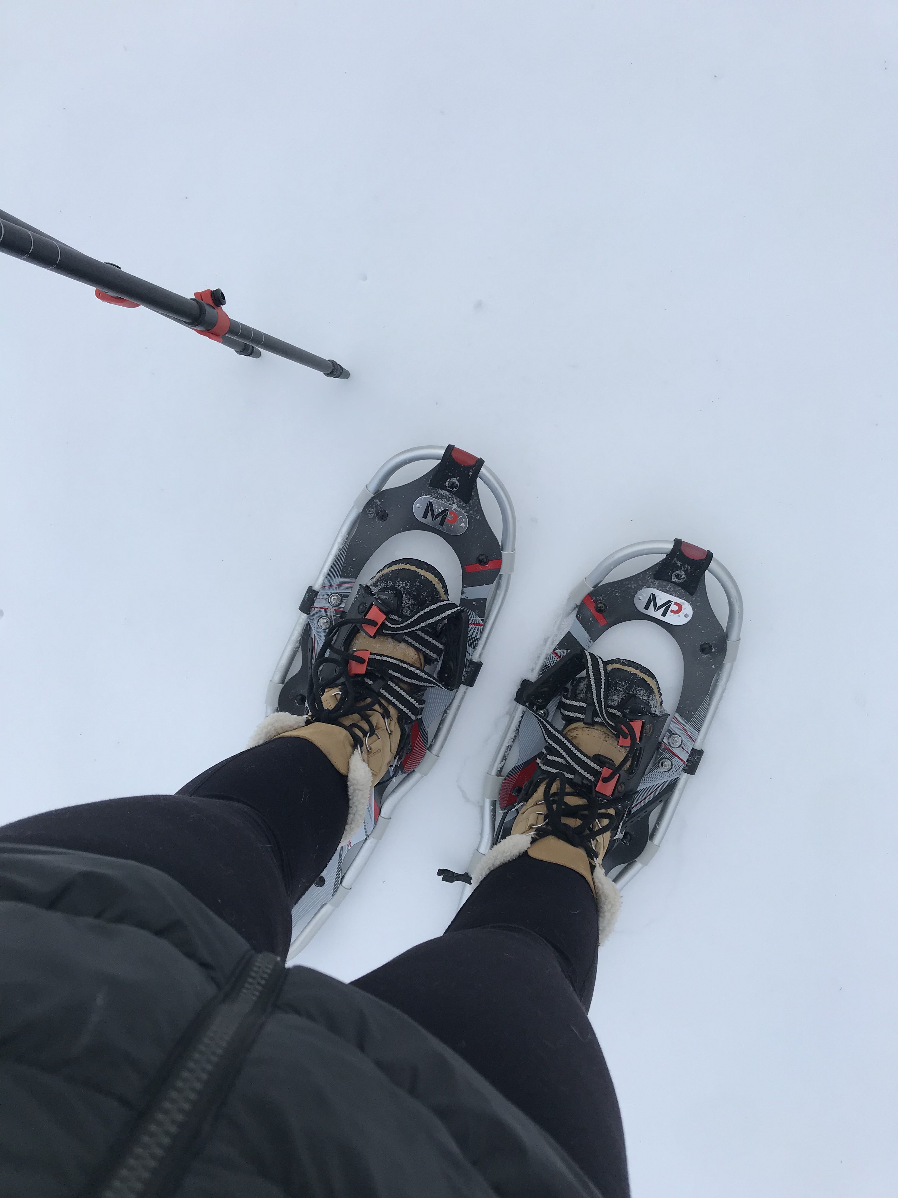 snow shoeing in Wisconsin