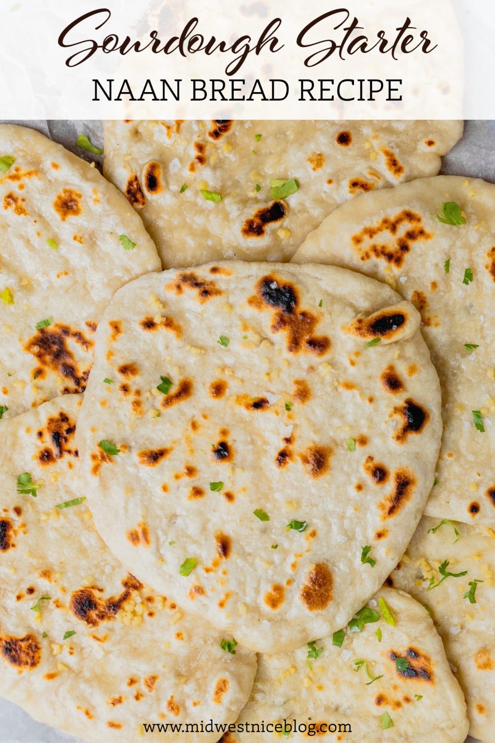 A pin to share the recipe for sourdough discard naan