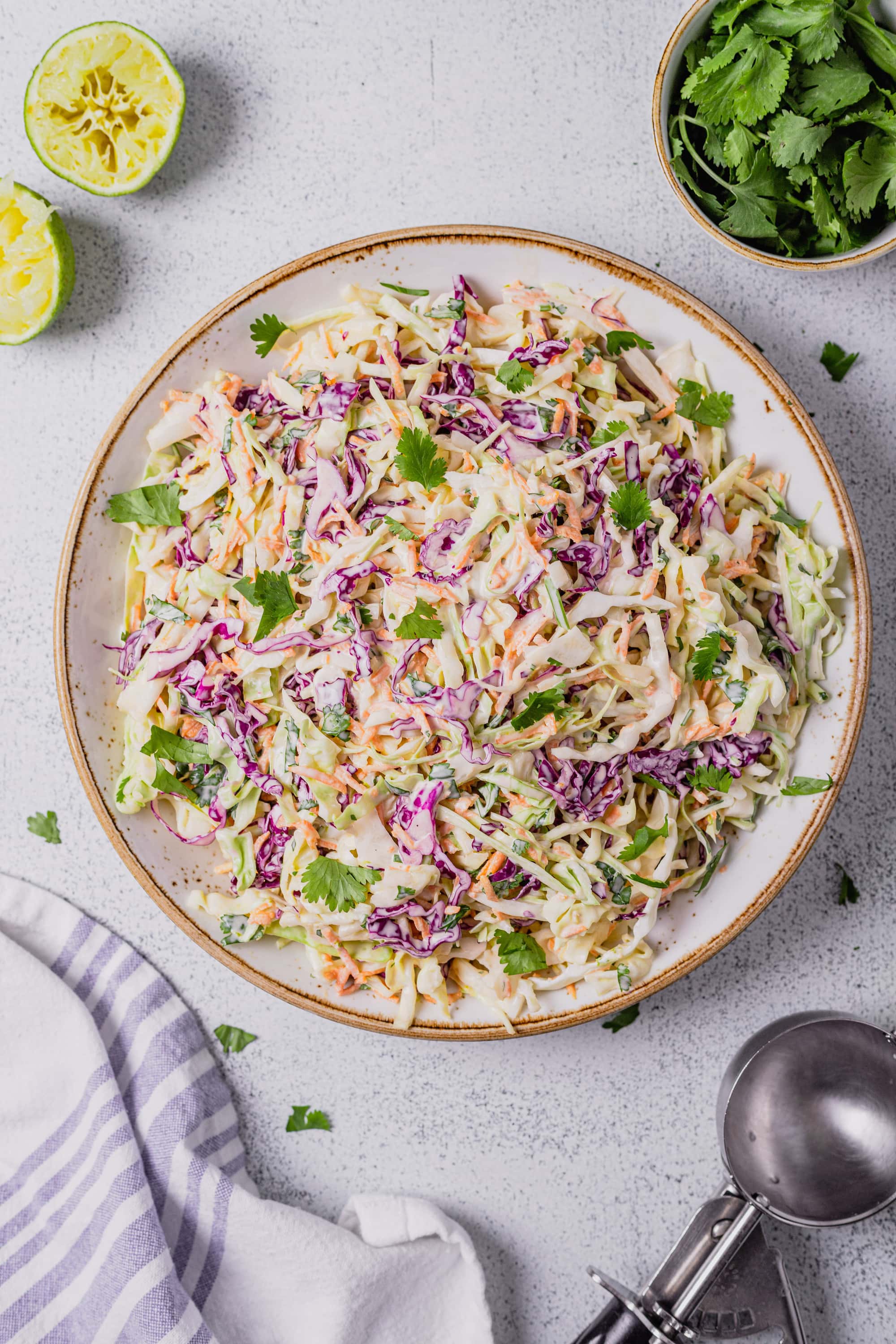 Cilantro Lime Coleslaw Recipe (no vinegar, no sour cream) Midwest Nice