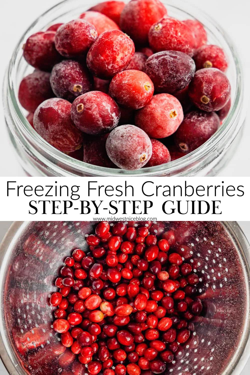 How to Freeze Fresh Cranberries Midwest Nice