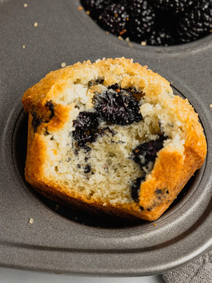 A mulberry muffin sitting in a pan with a bite taken out of it.