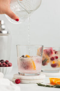 Cranberry Ice Cubes (How to Make Holiday Ice Cubes) - Midwest Nice